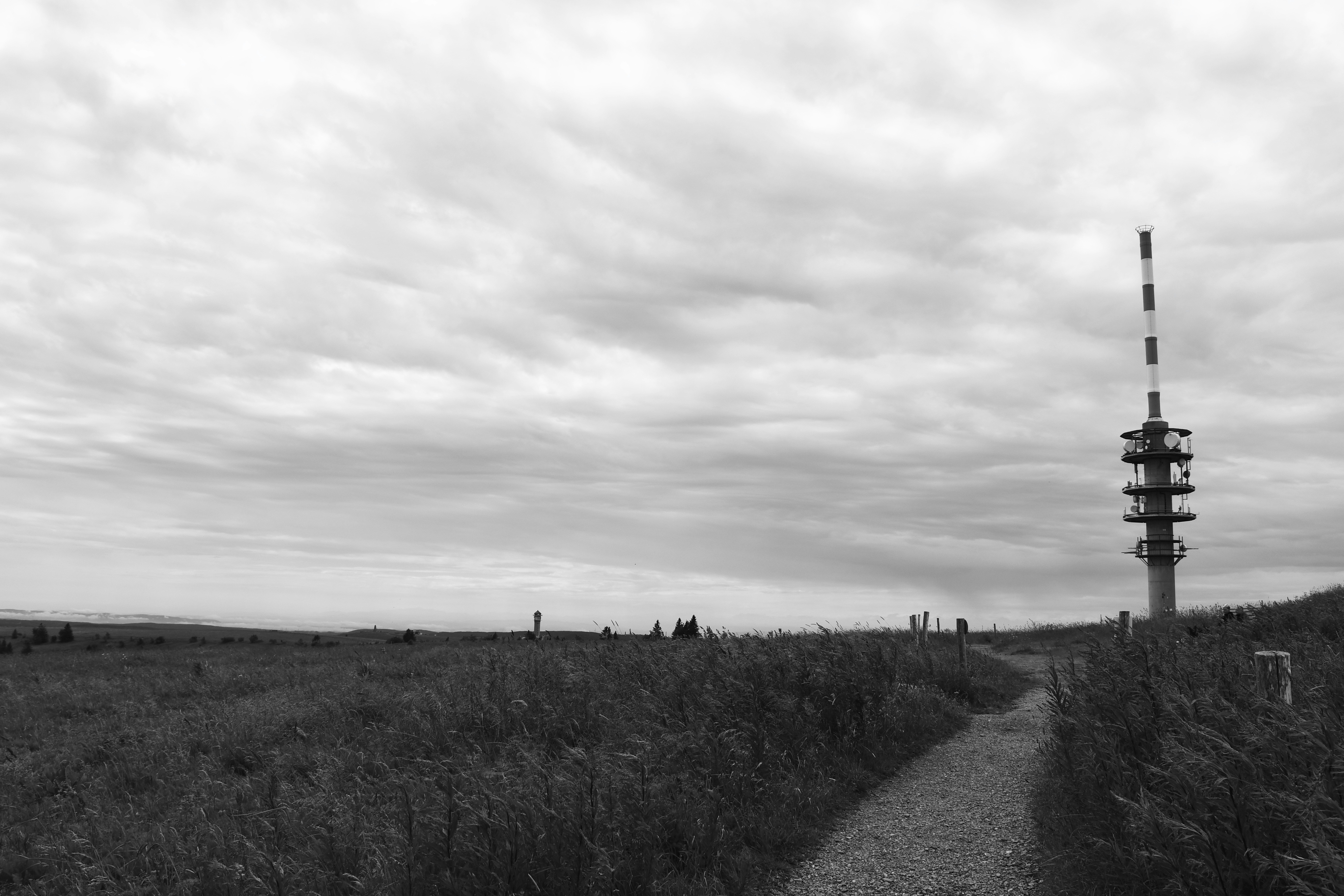 Photo by angelomcmxcv