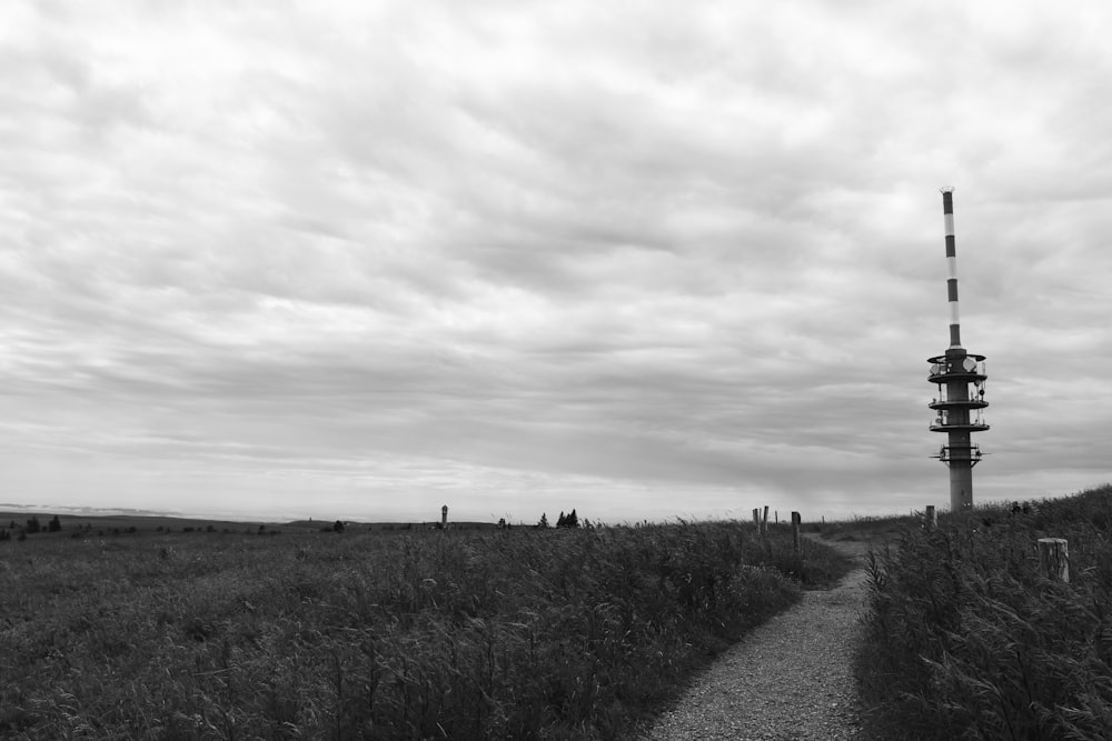 a black and white photo of a trail in a field