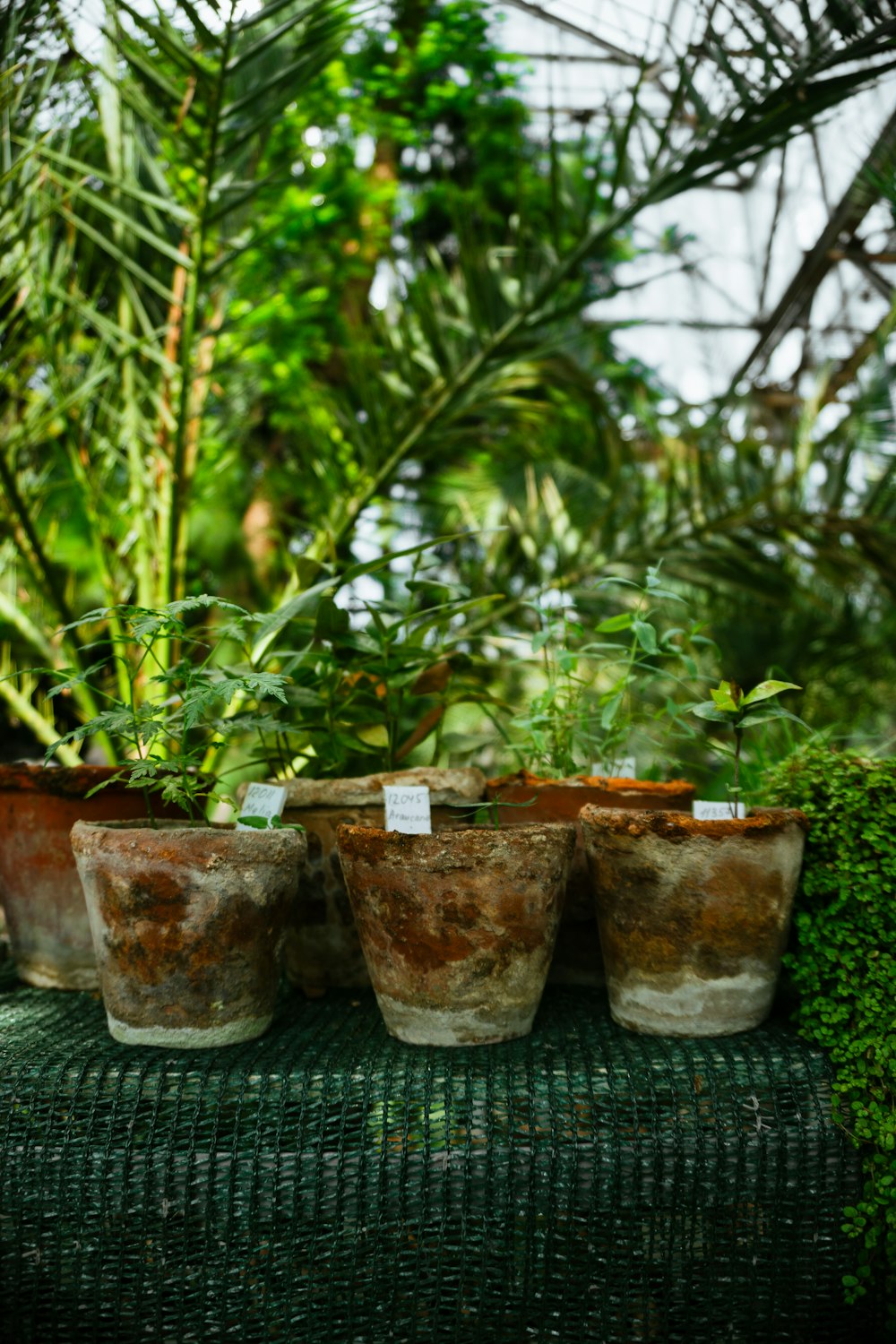 a bunch of pots that are sitting on a table