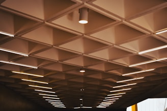 A ceiling with a geometric pattern of square recessed panels, each housing a small central light fixture. Linear fluorescent lights are integrated into the structure, providing parallel illumination across the surface. The lighting creates a warm atmosphere, with shadows accentuating the grid pattern.