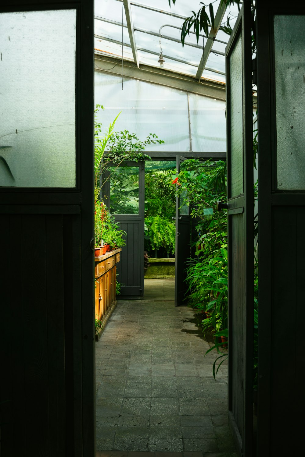 an open door leading to a green house