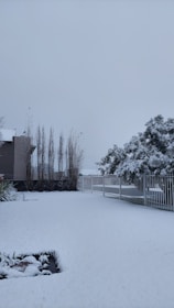 A snowy landscape featuring a yard covered in a thick layer of white snow. There is a fence running along one side, with trees in the background also blanketed in snow. A building with tall, thin trees at its side is visible, contributing to the wintry scene.