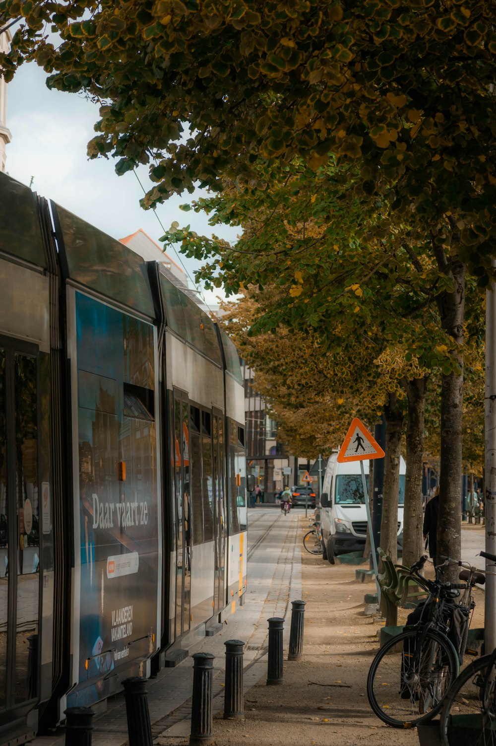 a bus parked on the side of a road next to a tree