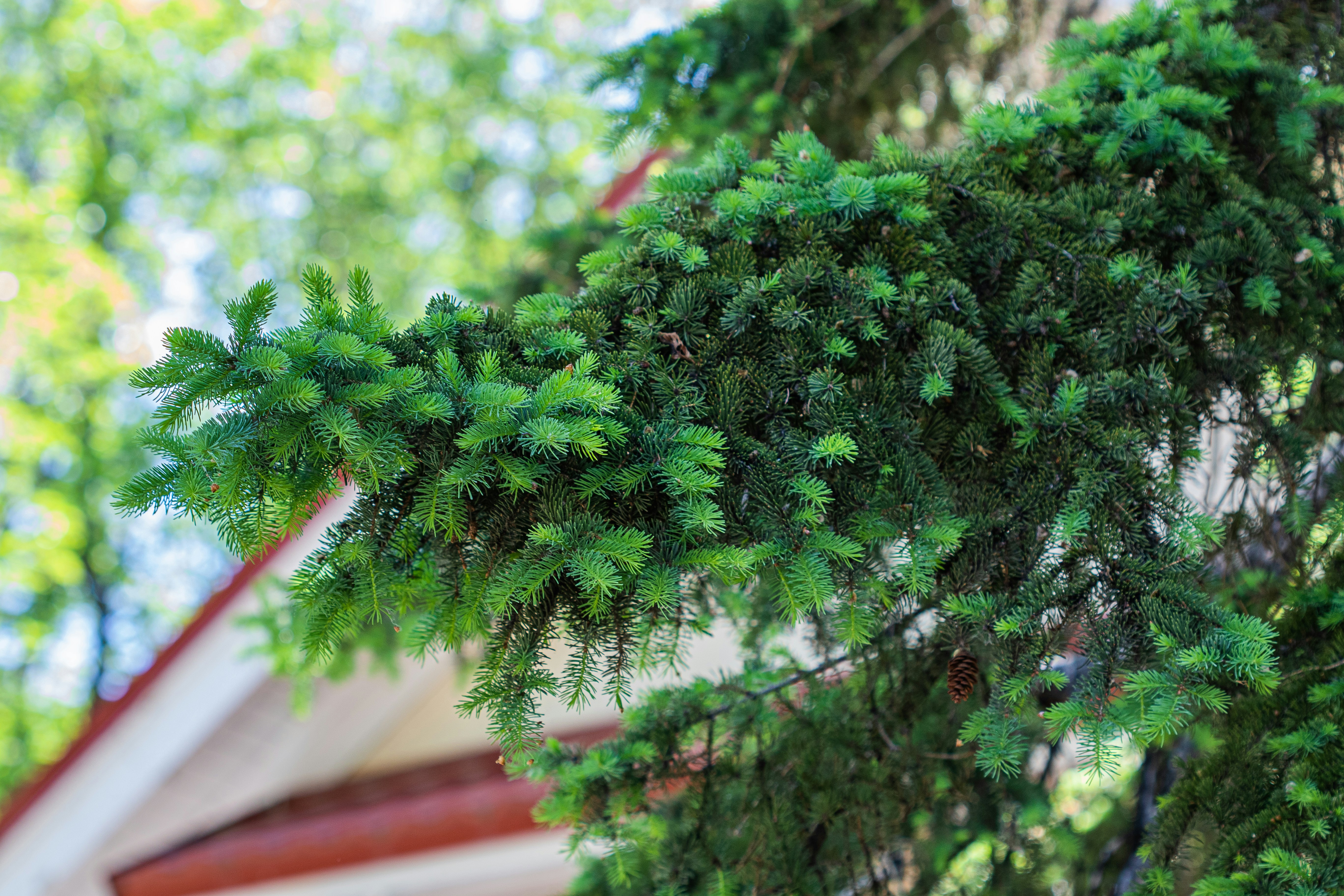 이천 하이닉스 인근 월주차 가능한 곳 정리