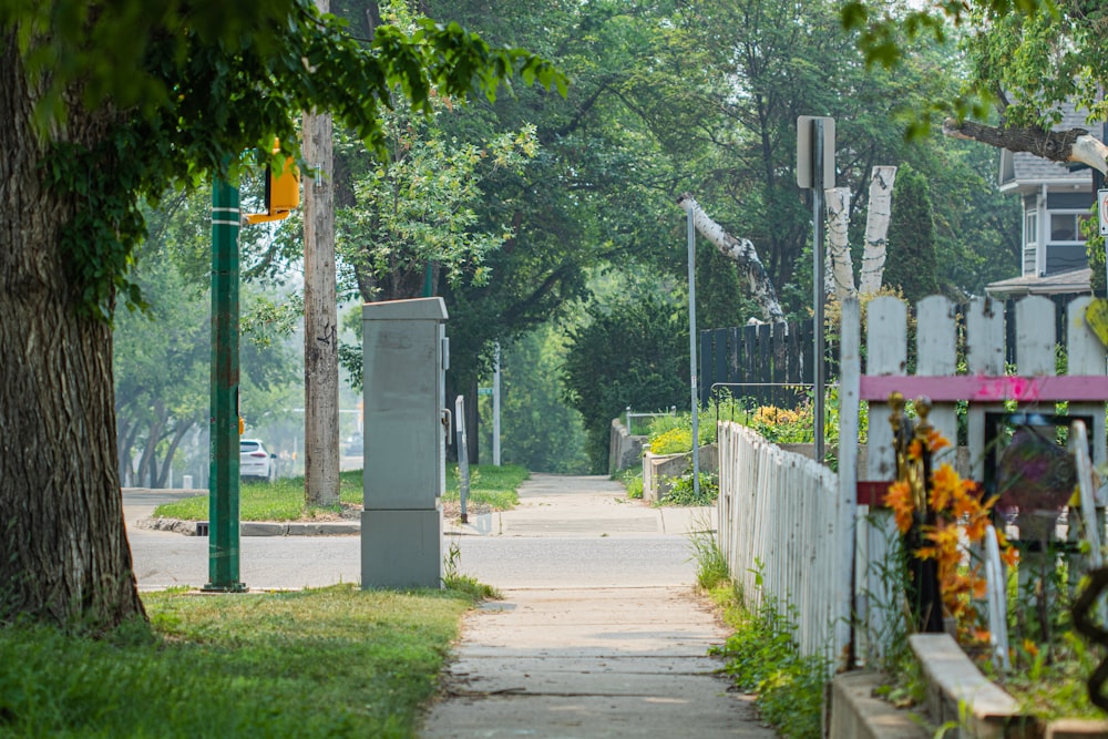 a street with a fence and a tree on the side of it