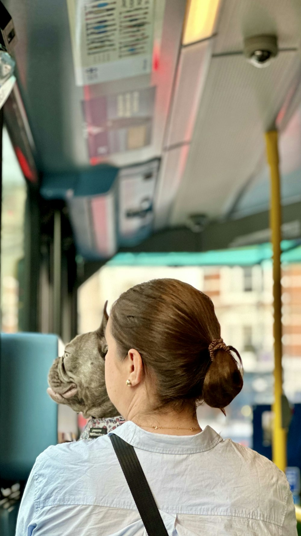 uma mulher com um cachorro no ombro em um ônibus