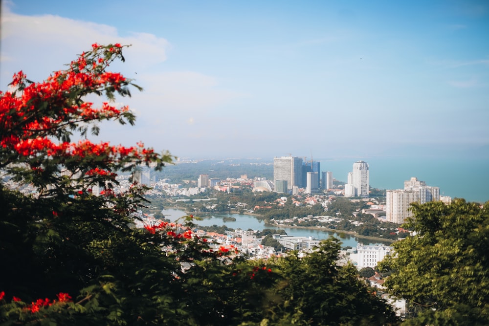 a view of a city from a hill