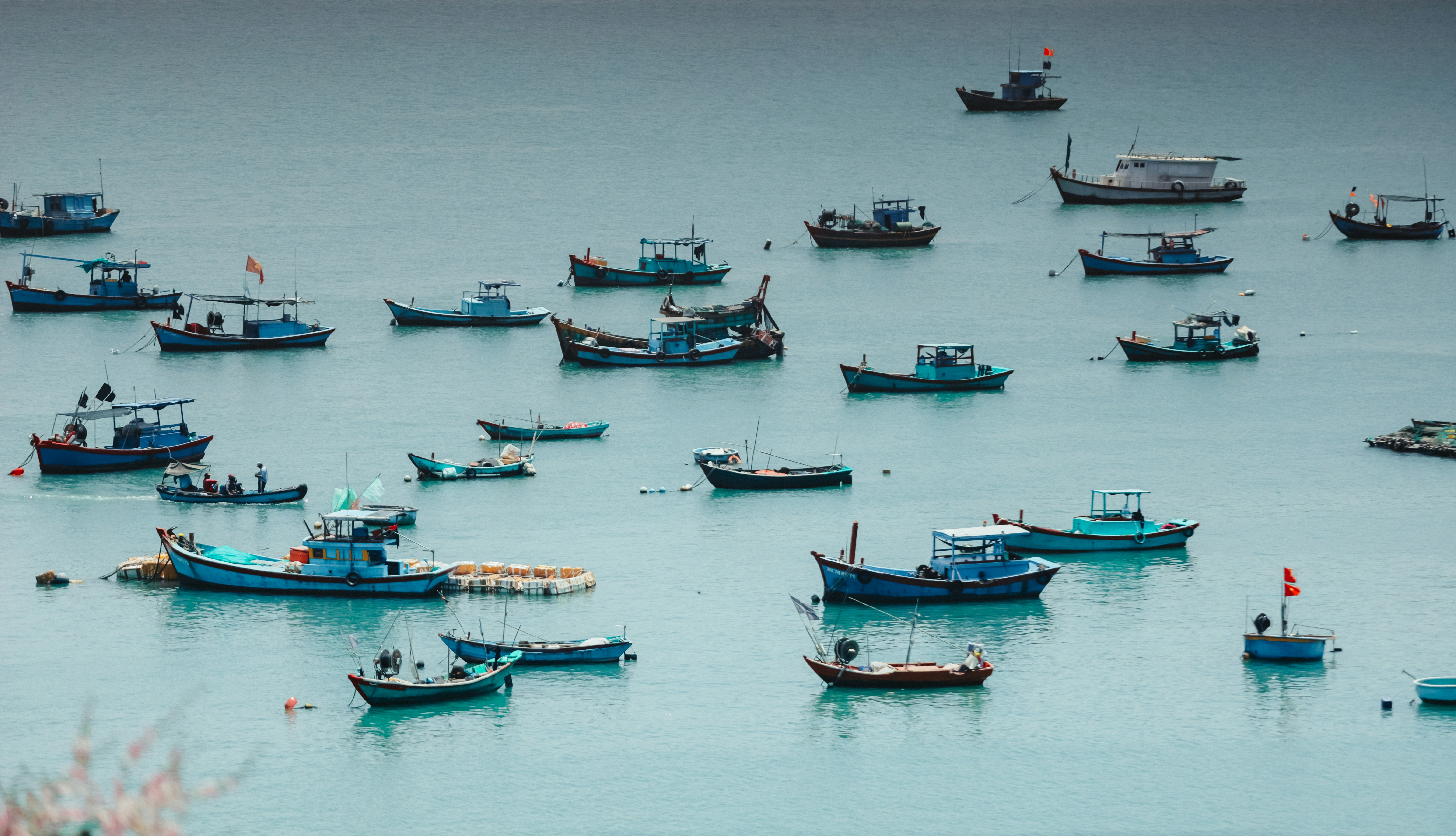 Photo by chuchu123456