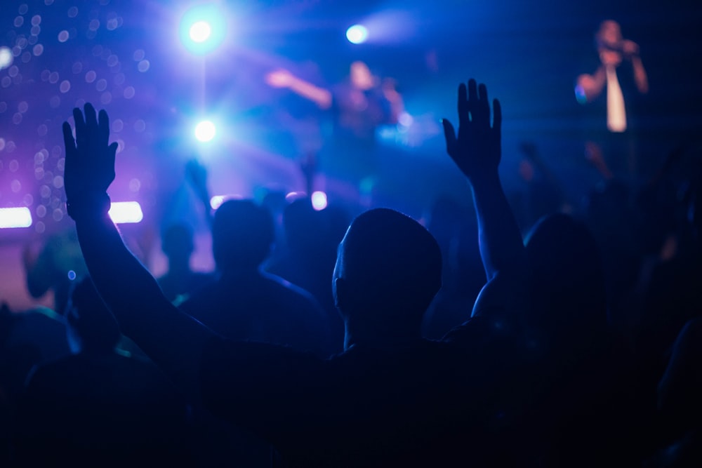 a crowd of people at a concert with their hands in the air