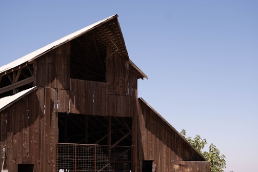 Wide shot of a large barn roof structure made of sturdy timber beams.