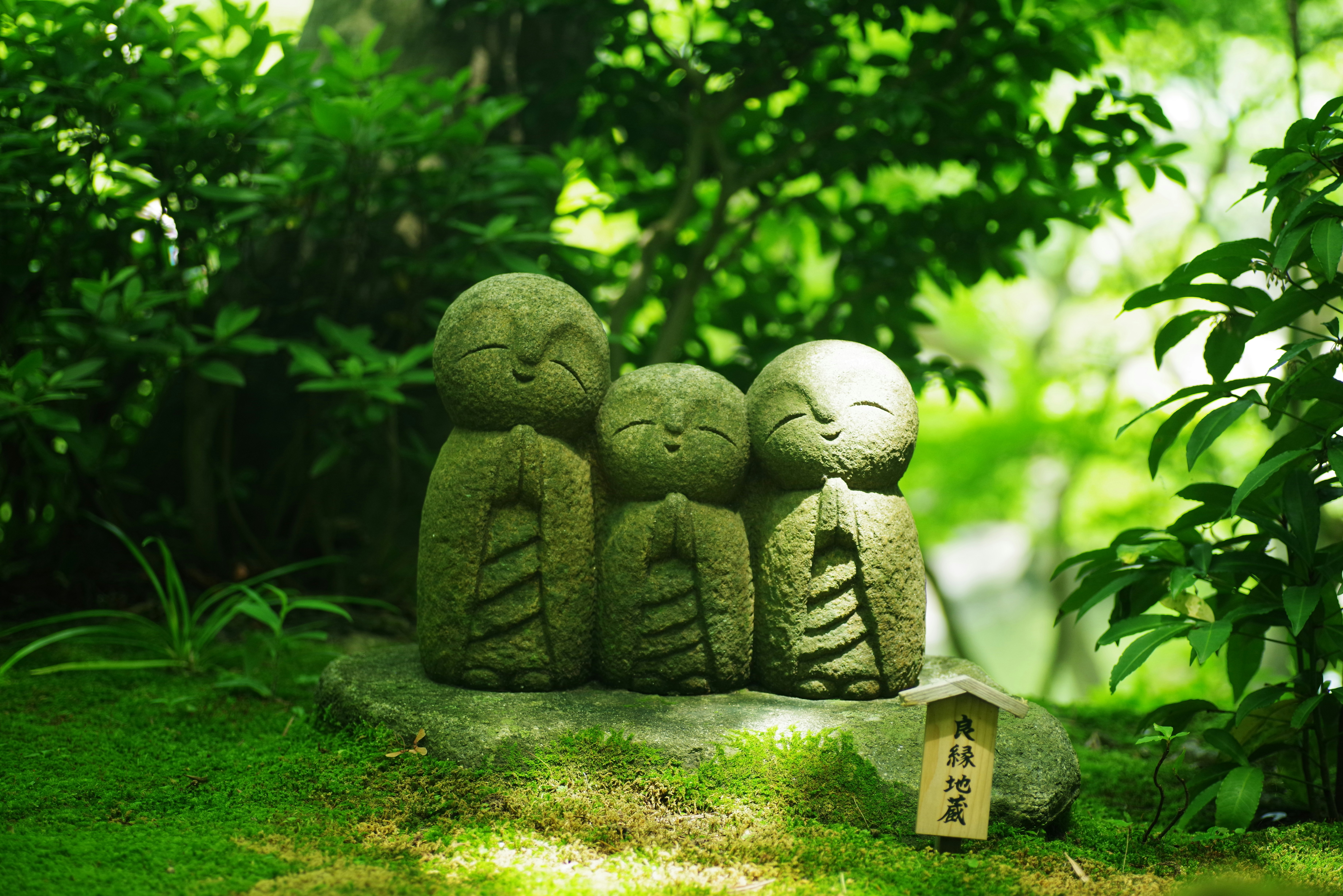 Three moss-covered stone monks stand in a sunlit garden, framed by lush green foliage. The scene conveys tranquil sculpture nestled among moss and dappled light.