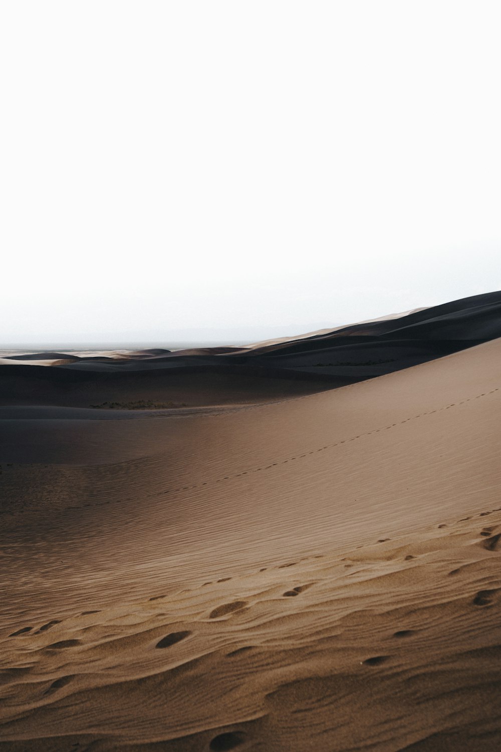 a person riding a horse in the desert