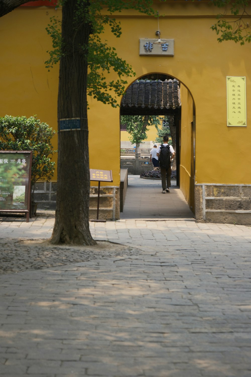 a man walking down a sidewalk next to a tree