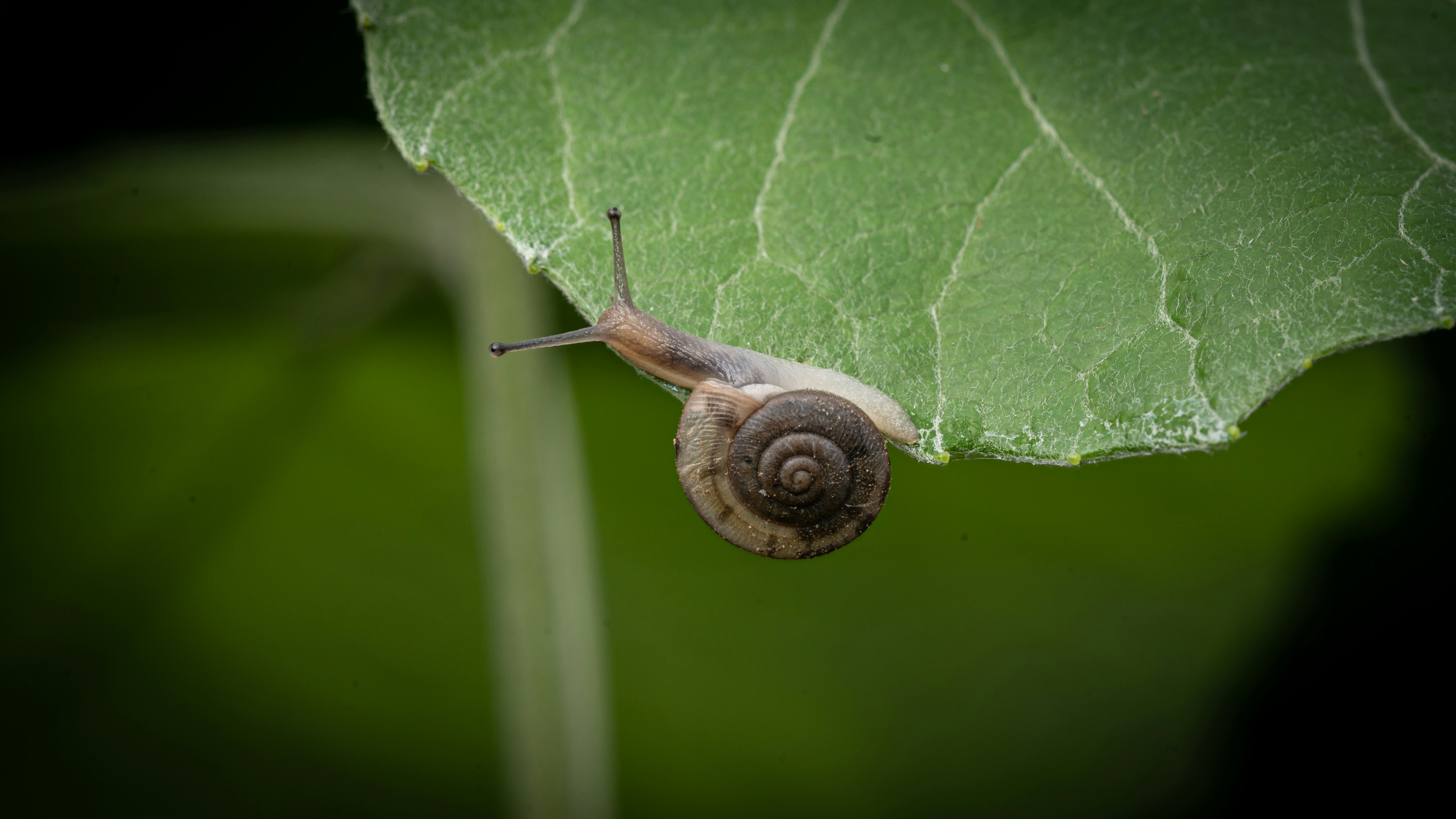 Photo by peek_a_boo_who