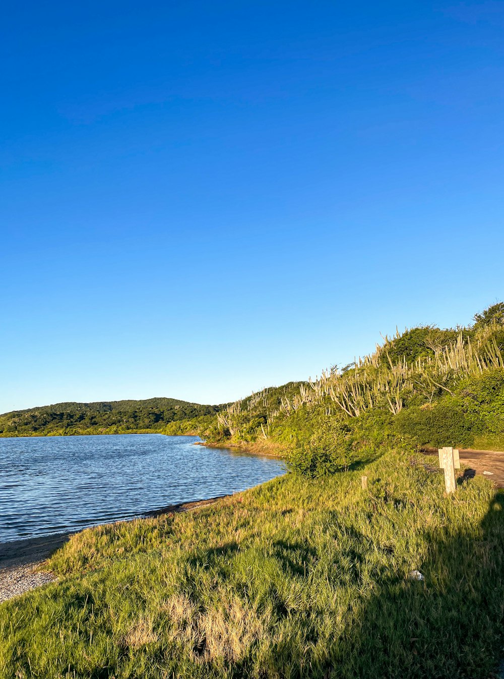 a bench sitting on the shore of a lake