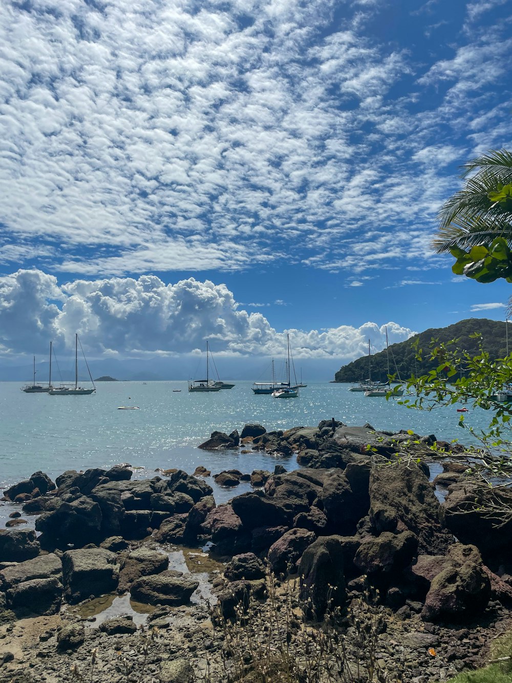 a group of boats floating on top of a body of water