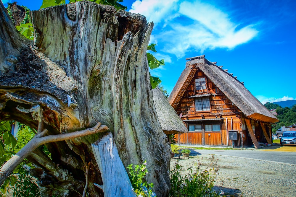 a wooden house with a thatched roof next to a tree stump