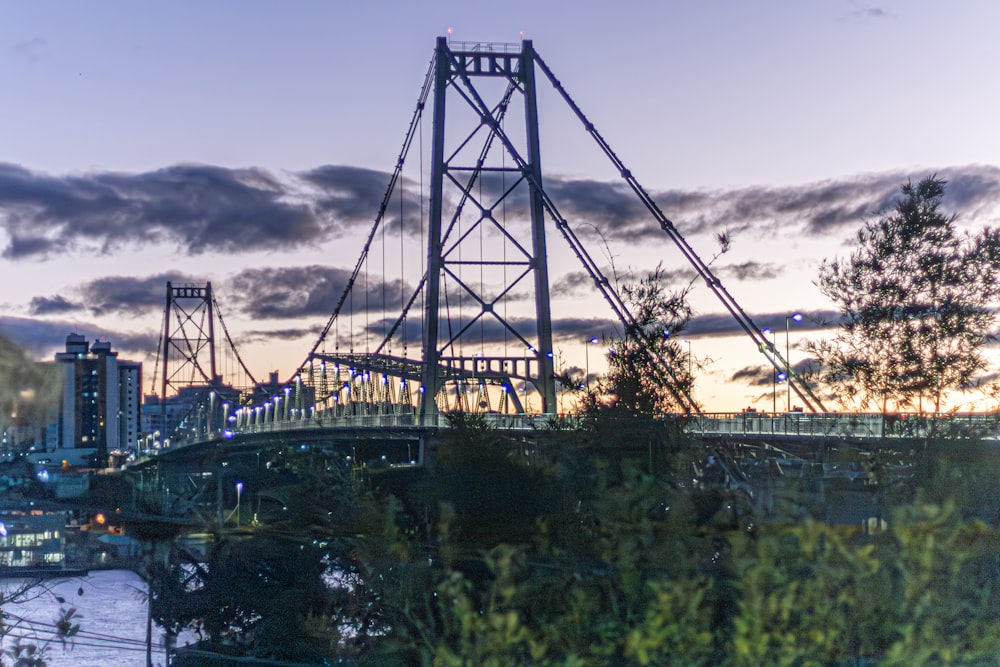 a bridge over a river with a city in the background