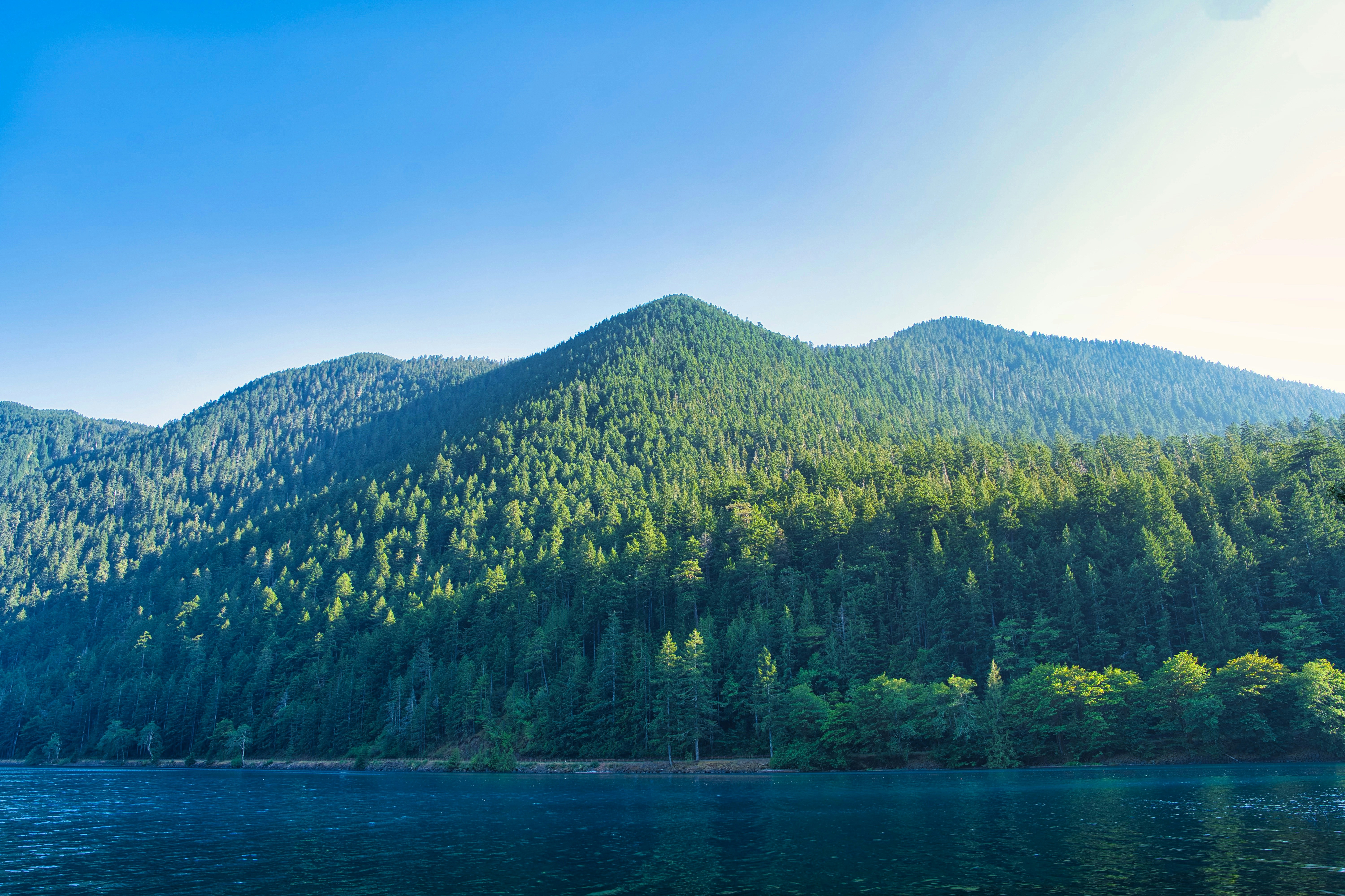 Photo by surfermike777