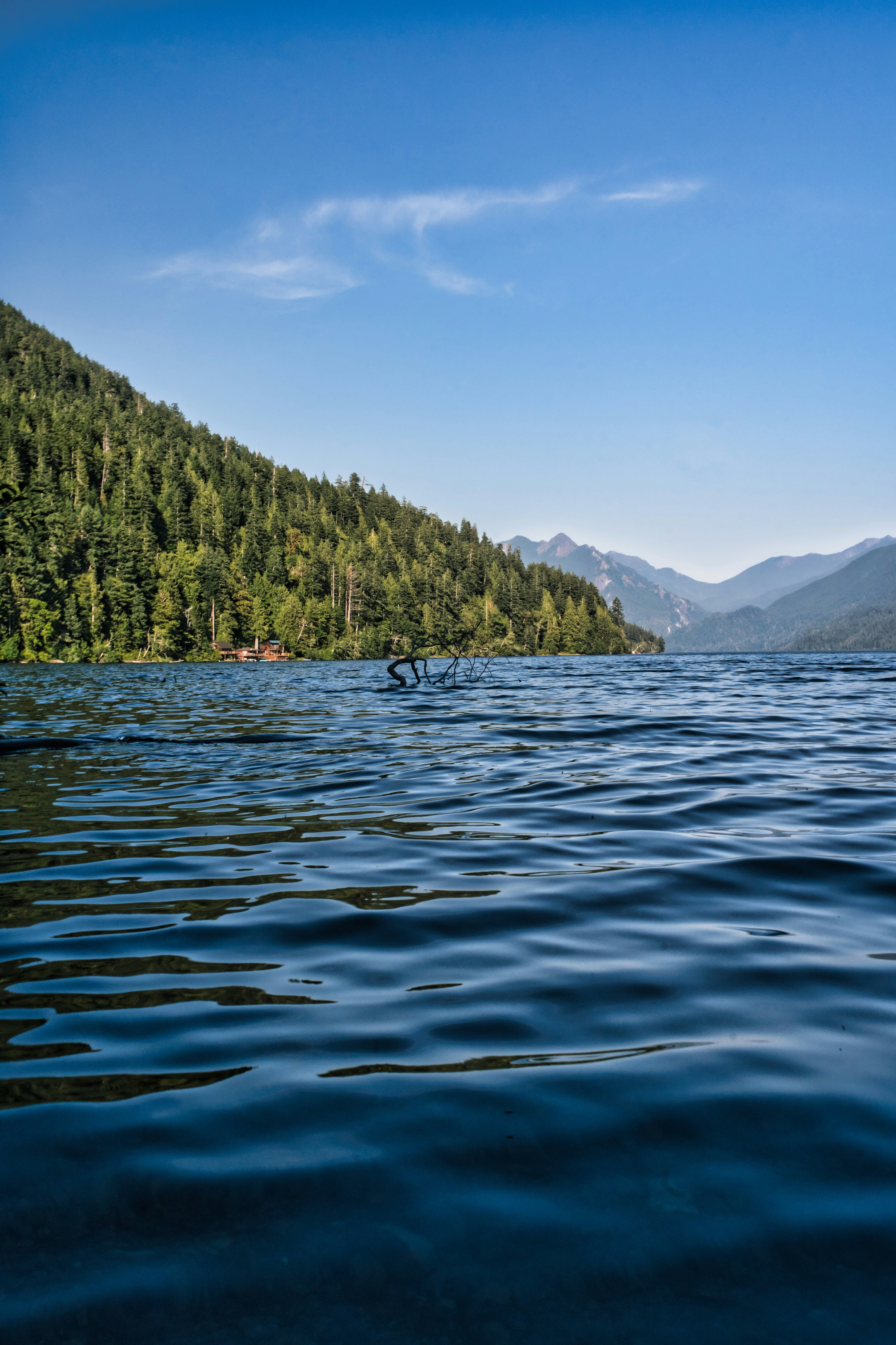 Photo by surfermike777