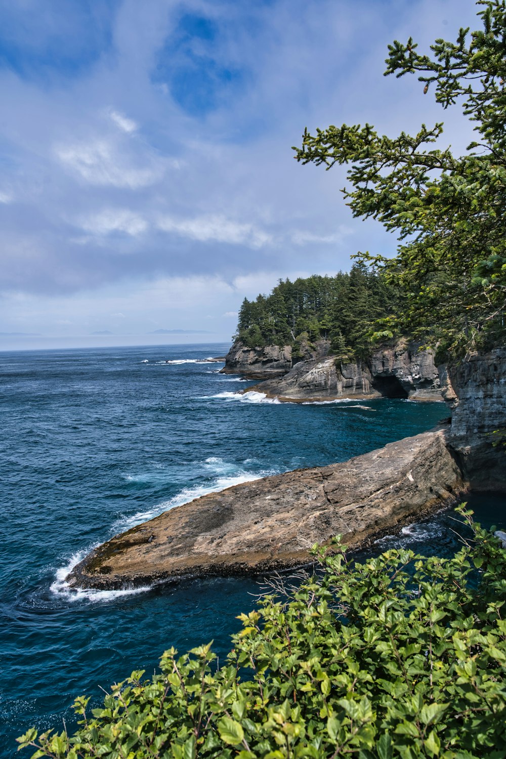 a large body of water surrounded by trees