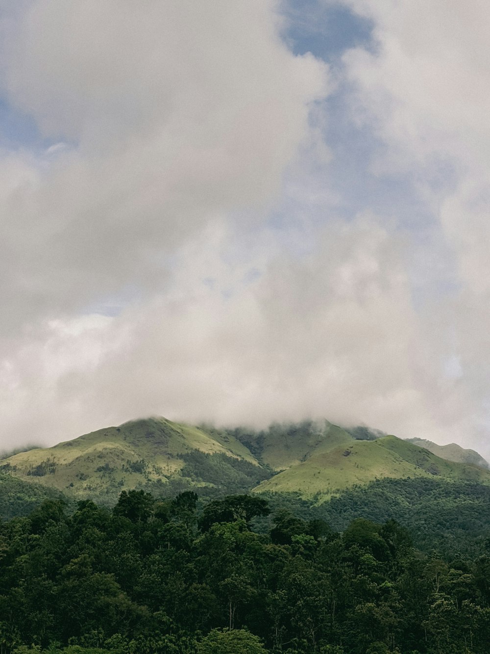 a green mountain with trees and clouds in the background