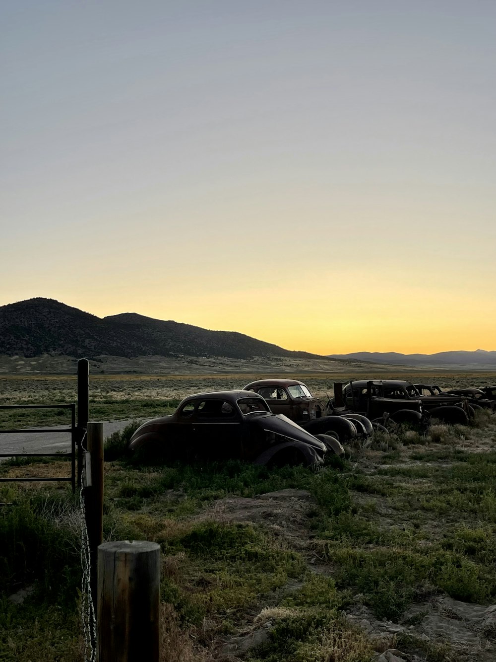 a bunch of old cars parked in a field