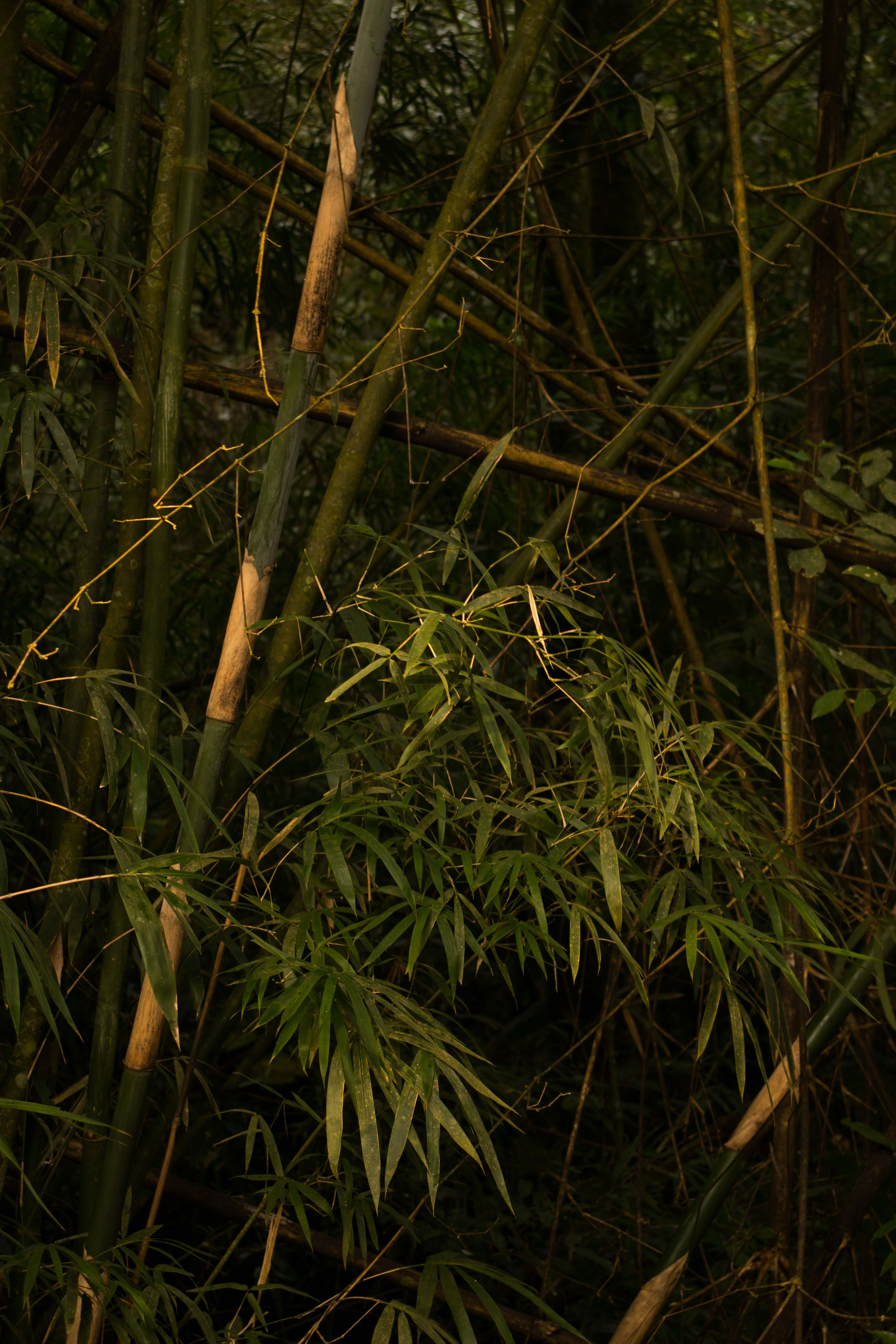 Photo by peppedigitaleye