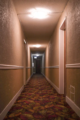Sunlit hallway with freshly cleaned beige carpet, looking soft and inviting.