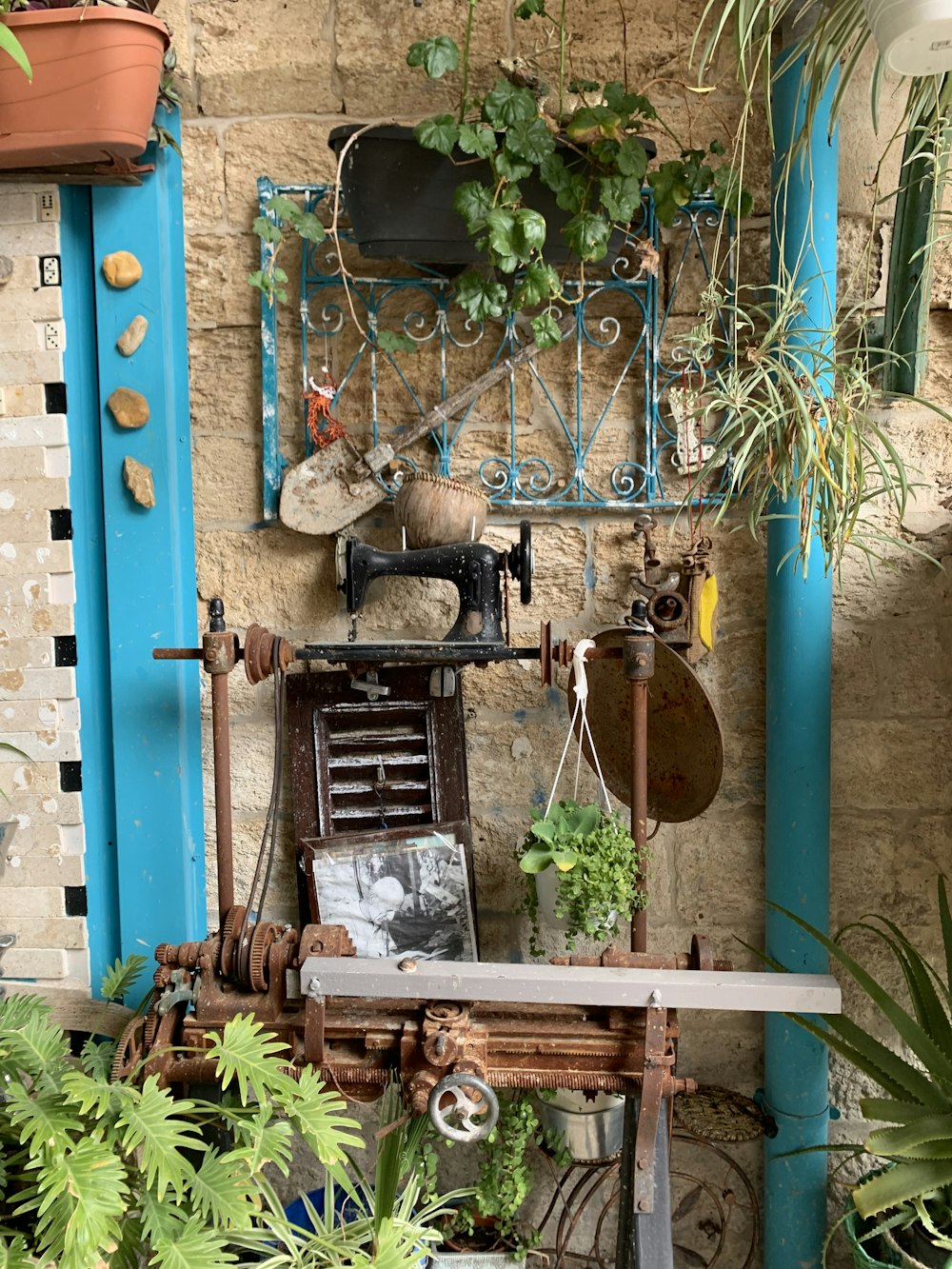 a room with a bunch of plants and a sewing machine