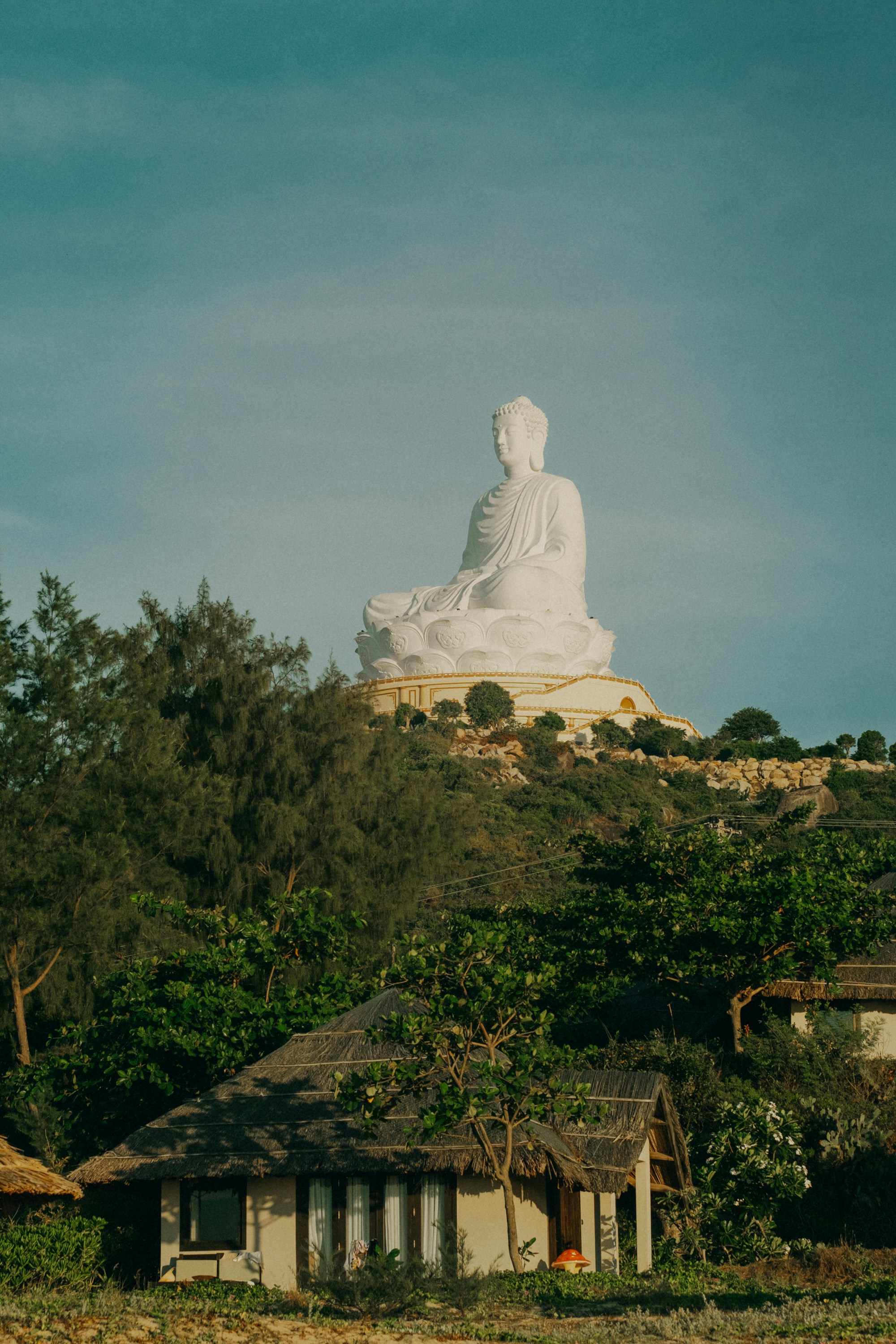 Photo by nguyentrungnguyen