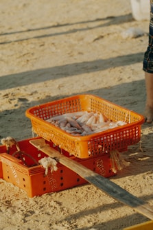 A close-up view of orange plastic crates filled with small fish, placed on a sandy surface with a wooden plank nearby. The crates have ventilation holes and some rope handles attached to them.