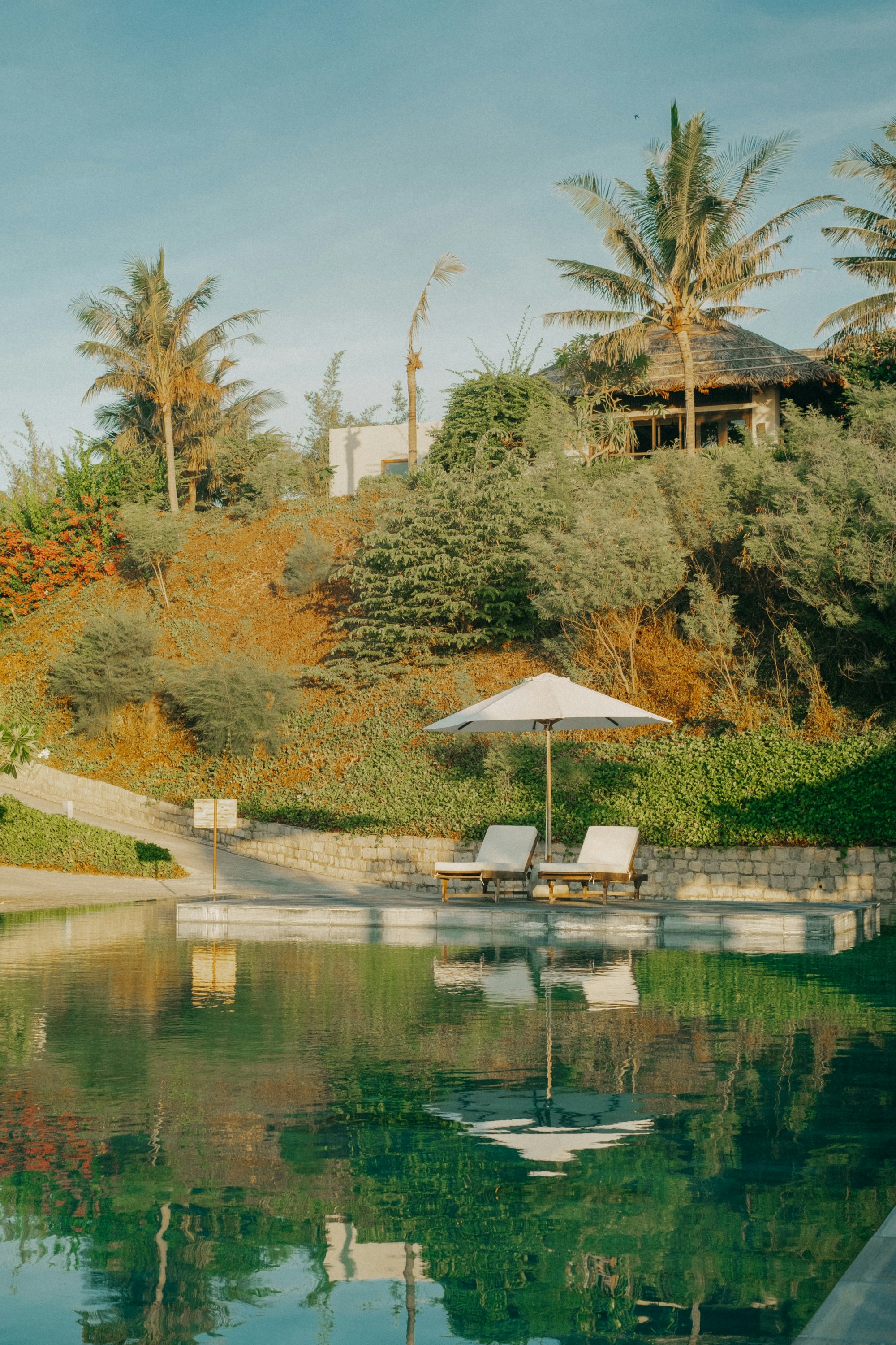 Photo by nguyentrungnguyen