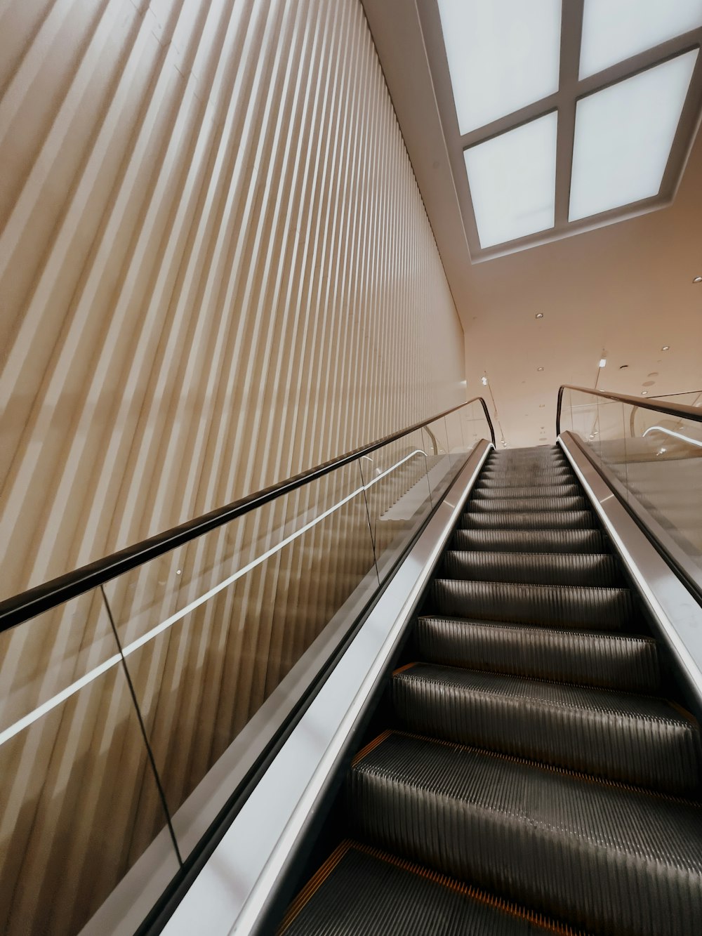 an escalator in a building with a skylight