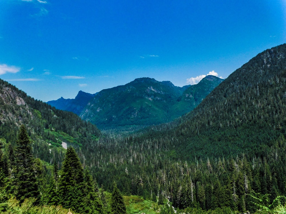 a scenic view of a mountain range with trees in the foreground