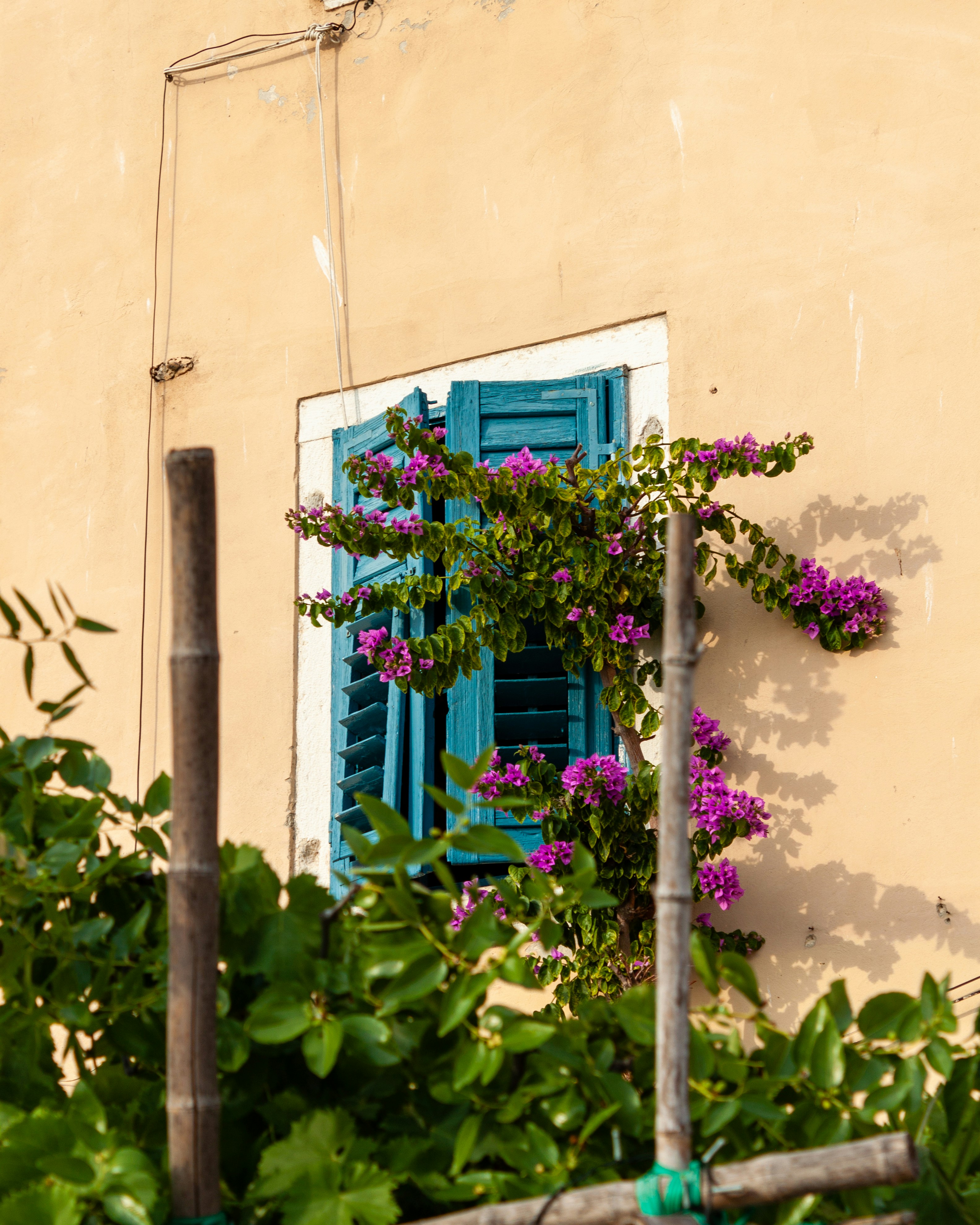 Photo by puskas_dominik