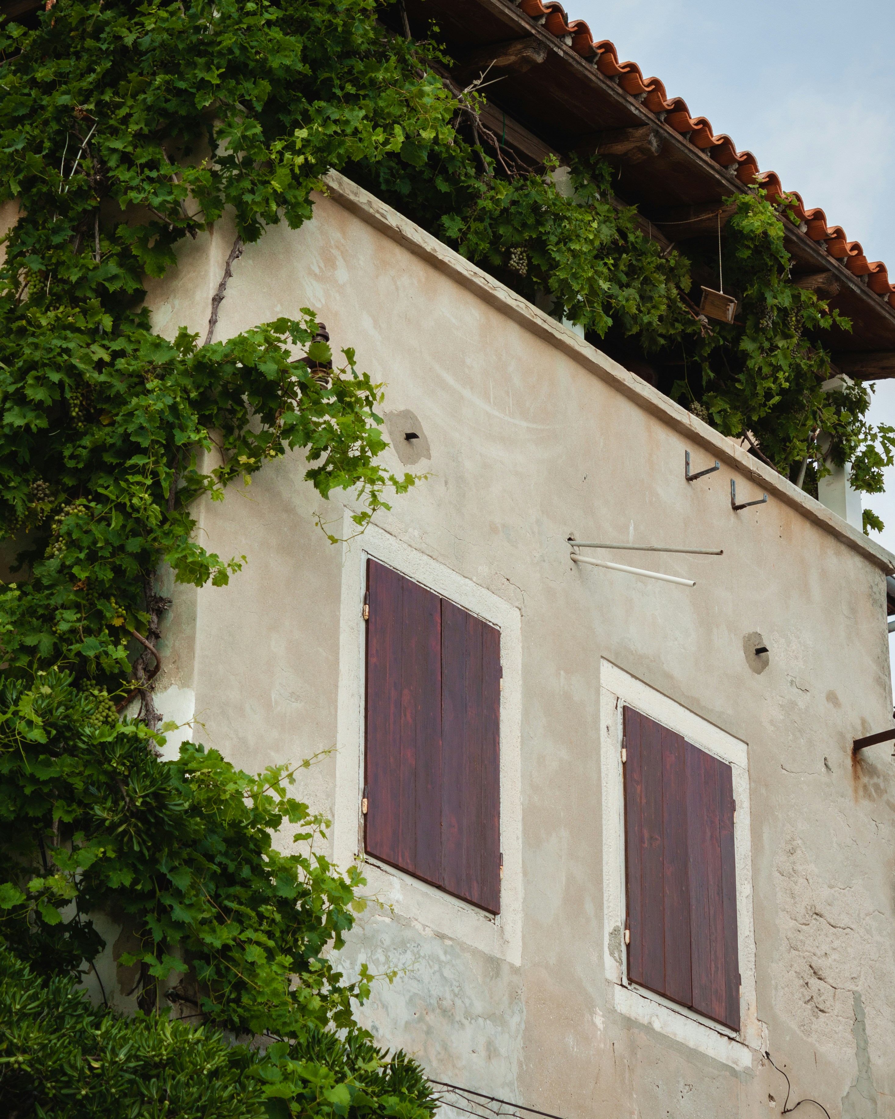 Photo by puskas_dominik