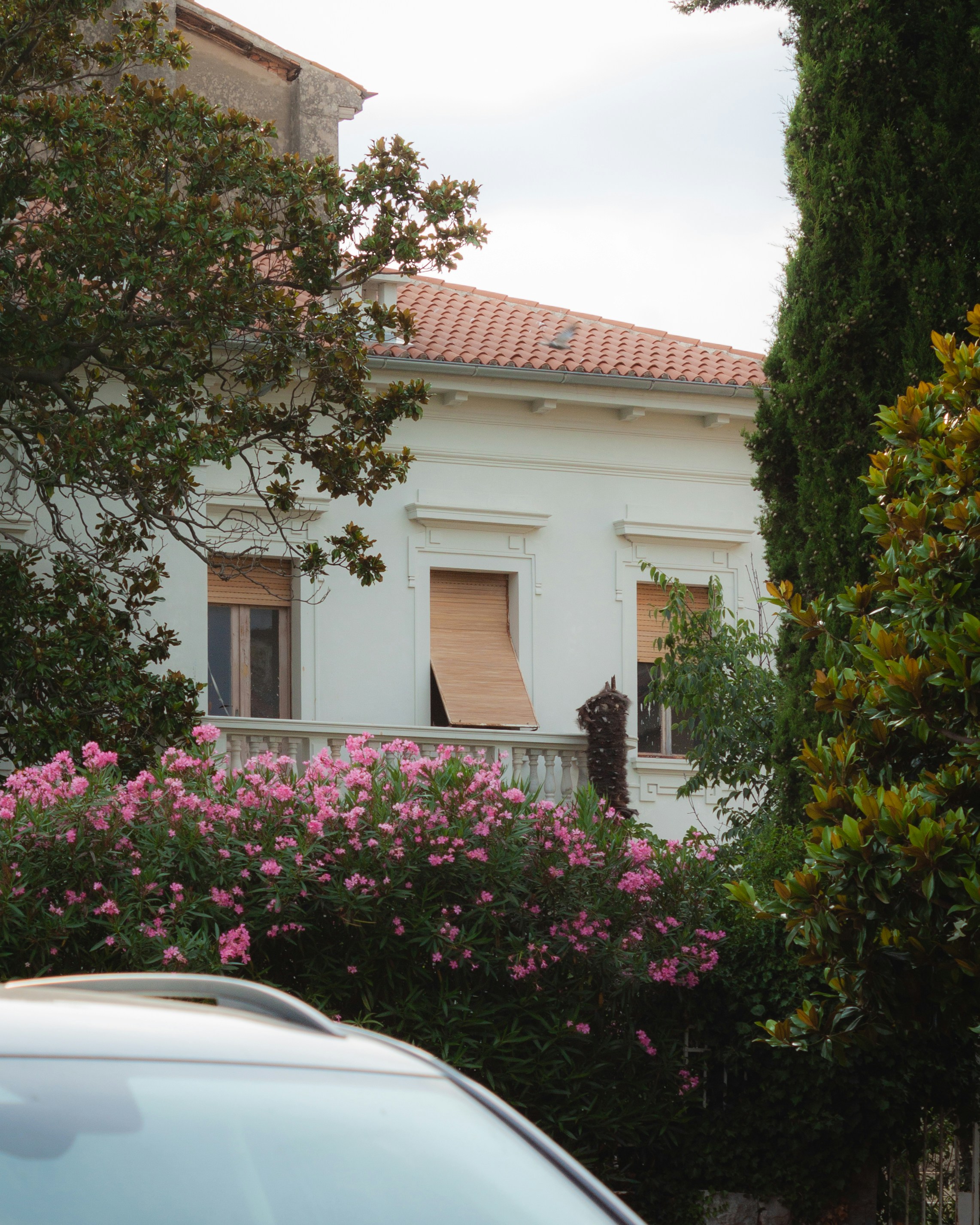 Photo by puskas_dominik