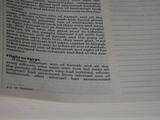 A close-up image of an open book displaying text in English. The page on the left contains paragraphs of printed text with a heading titled 'Flight to Egypt'. The page on the right is mostly empty with rows of dotted lines meant for writing.