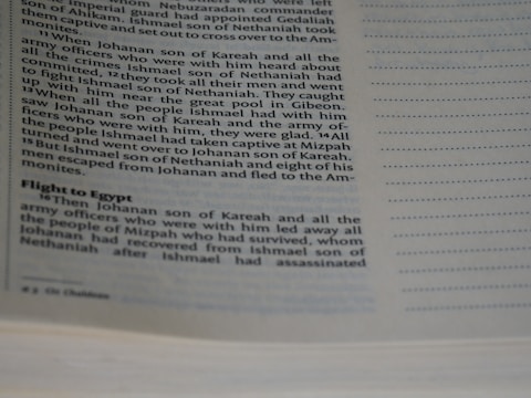 A close-up image of an open book displaying text in English. The page on the left contains paragraphs of printed text with a heading titled 'Flight to Egypt'. The page on the right is mostly empty with rows of dotted lines meant for writing.