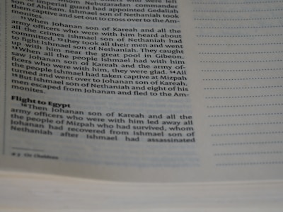 A close-up image of an open book displaying text in English. The page on the left contains paragraphs of printed text with a heading titled 'Flight to Egypt'. The page on the right is mostly empty with rows of dotted lines meant for writing.