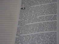 Close-up of the navigation menu showing links to both Lote 32 and Lote 33 pages.