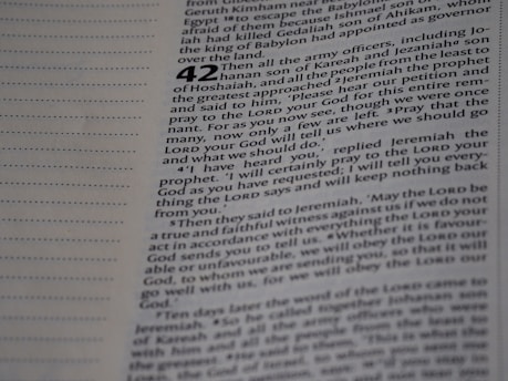 The image is a close-up of a page from a book, featuring text written in English. The text is structured in paragraphs and includes a large, bold number 42, indicating a chapter or section. The page contains margins with dotted guideline indicators on the left.