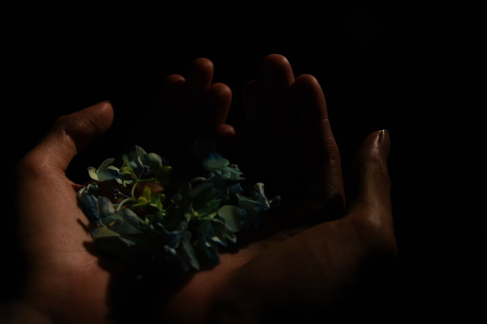 a person holding a bunch of flowers in their hands