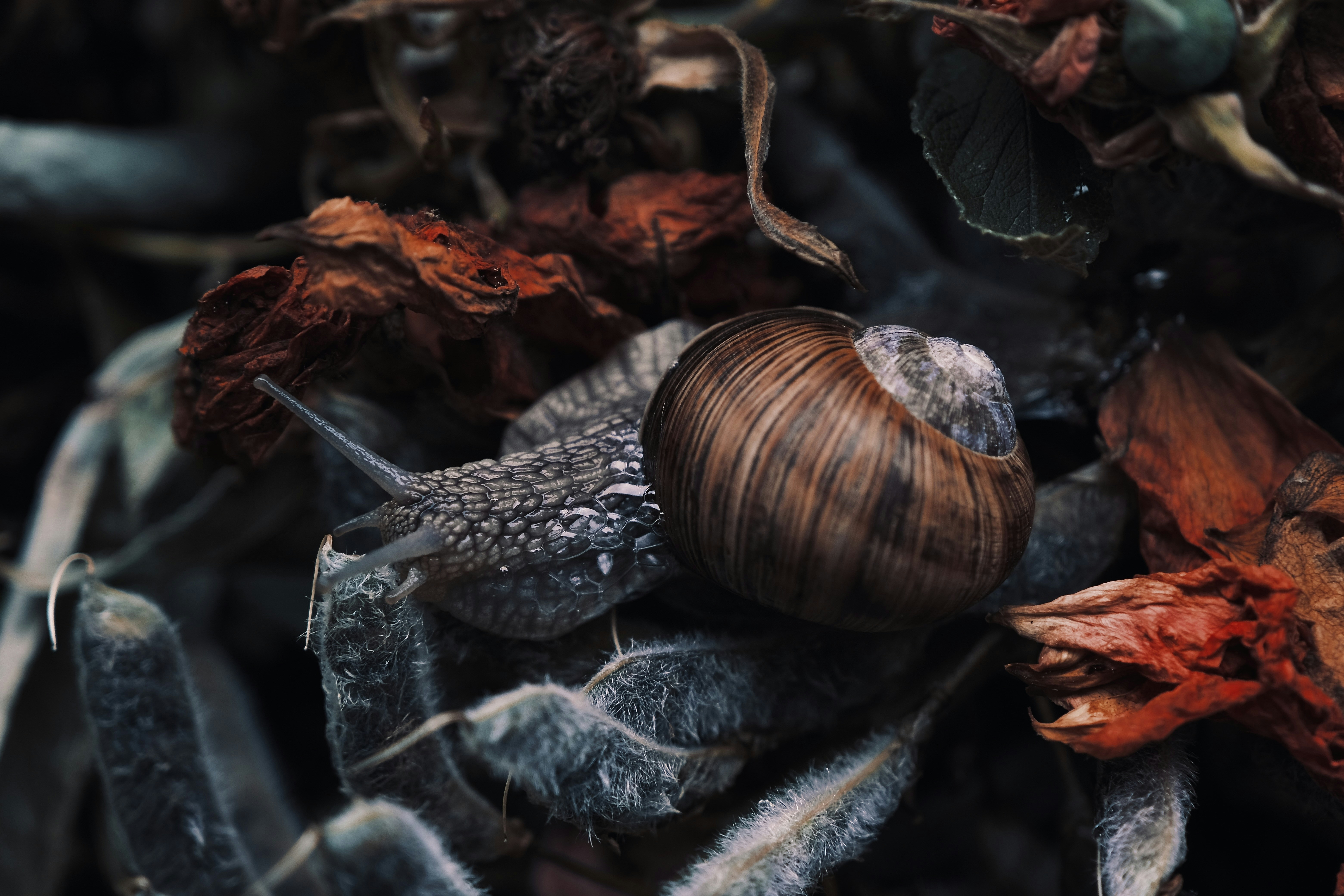 Photo by mkrawczynski