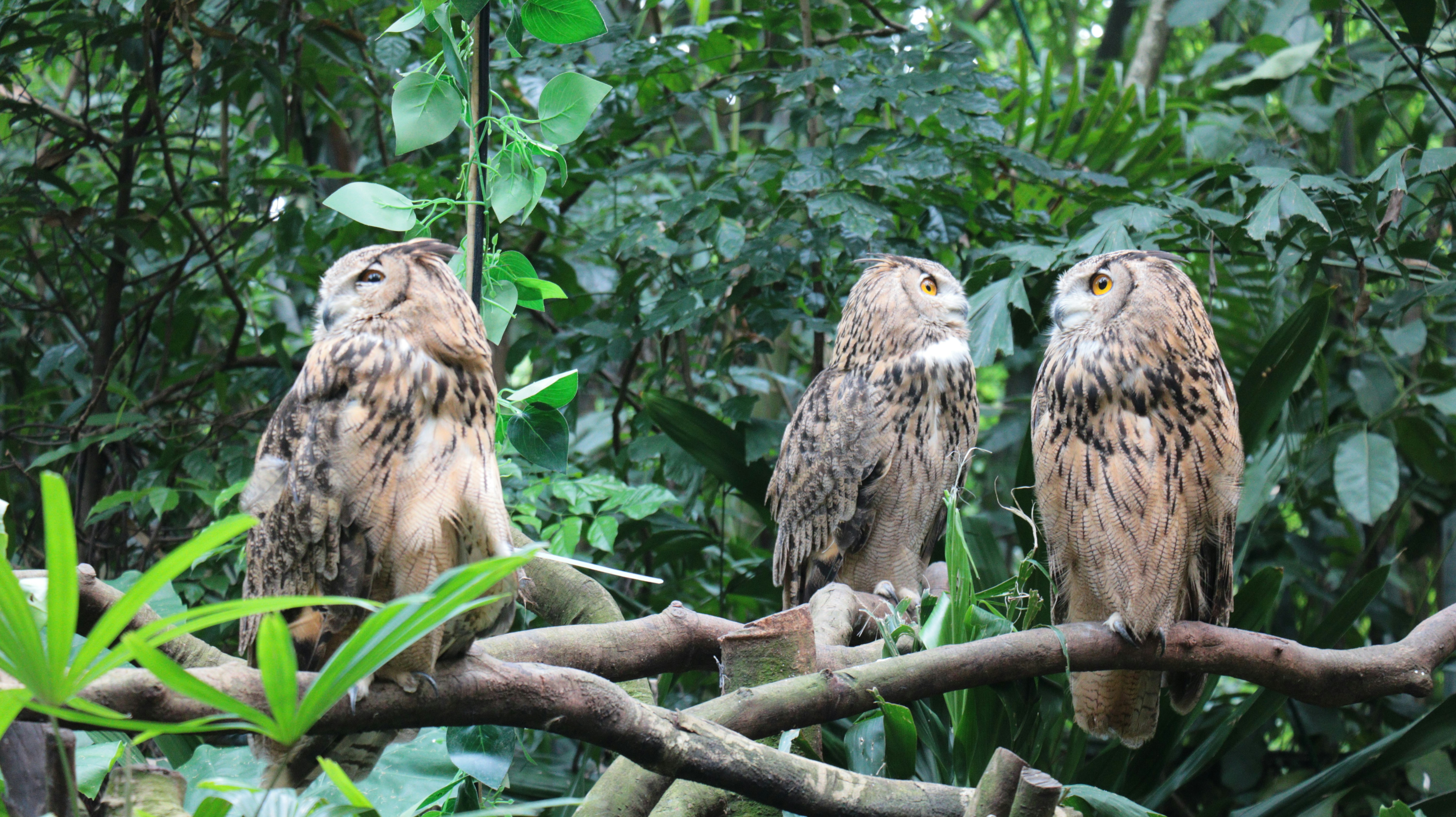 Future Vision and Expanding Global Impact (image credits: unsplash)