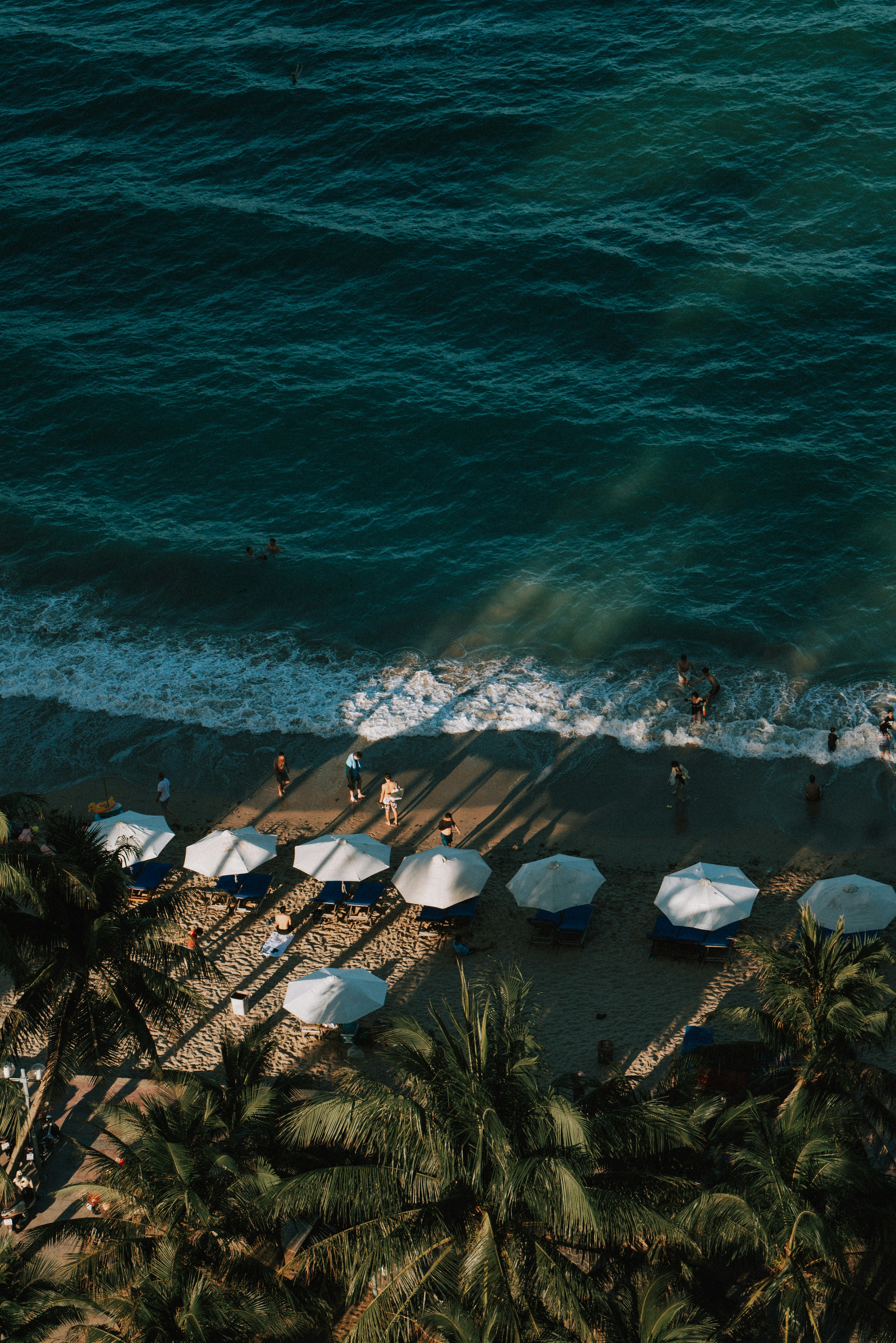 an aerial view of a beach with umbrellas and palm trees