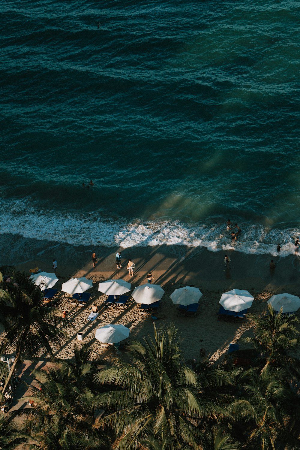 an aerial view of a beach with umbrellas and palm trees