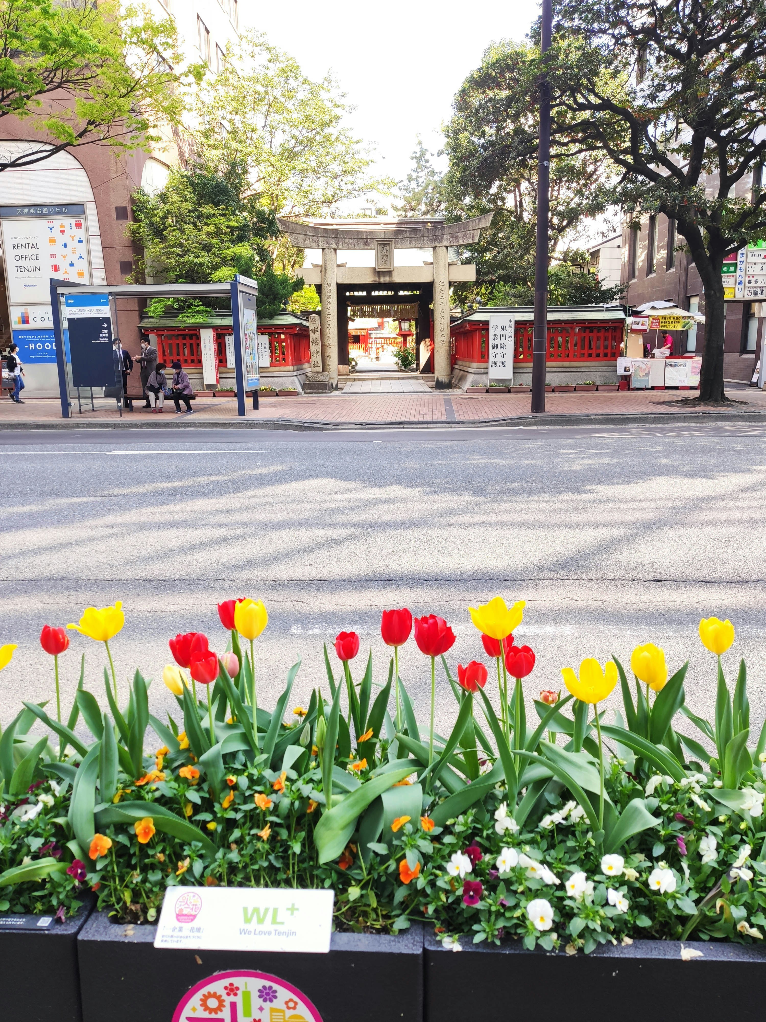 a bunch of flowers that are in a planter