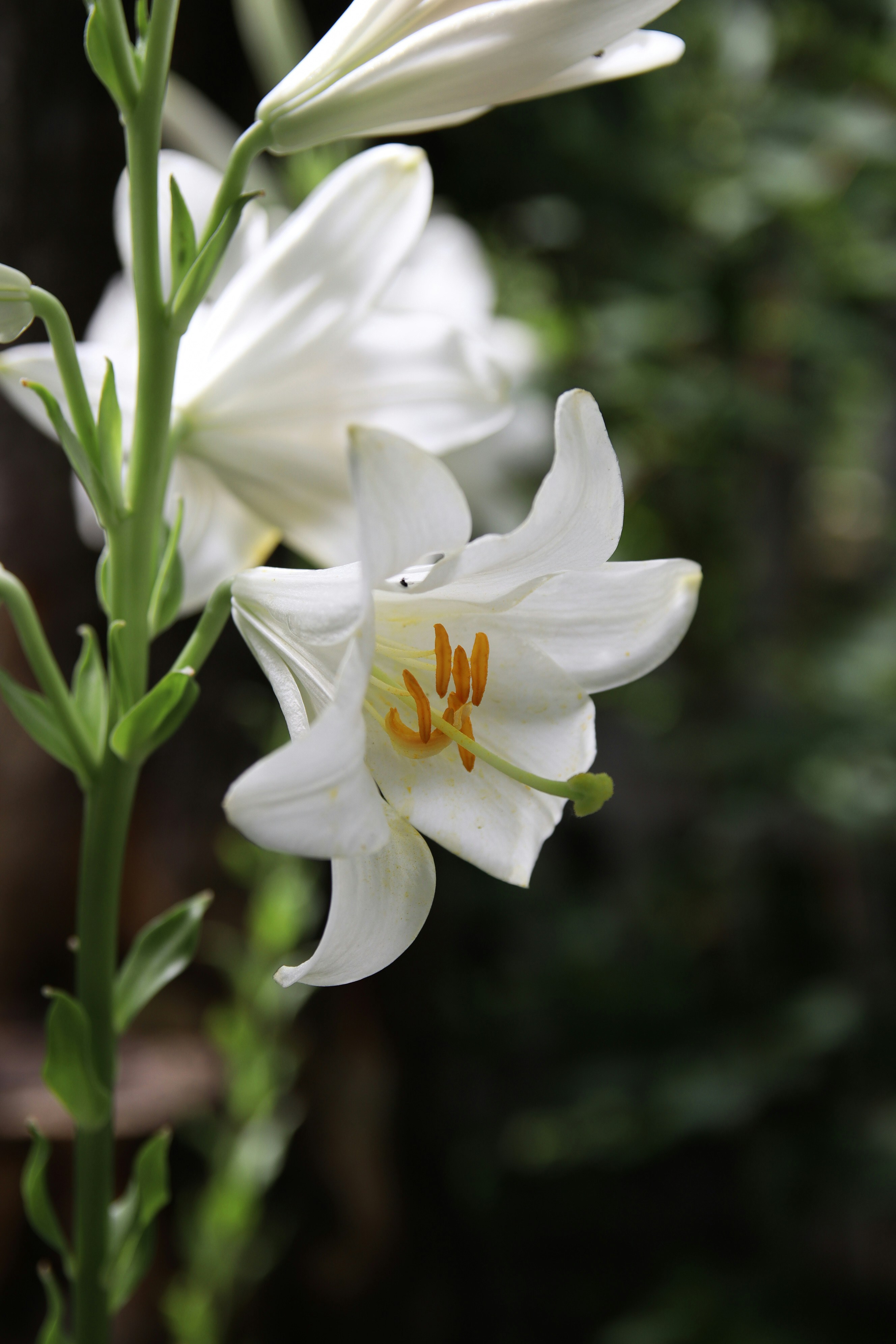 Photo by feeling_hope